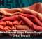 Hackers Unravel Major Fabric Supplier in Cyber Breach