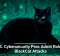 U.S. Cybersecurity Pros Admit Role in BlackCat Attacks